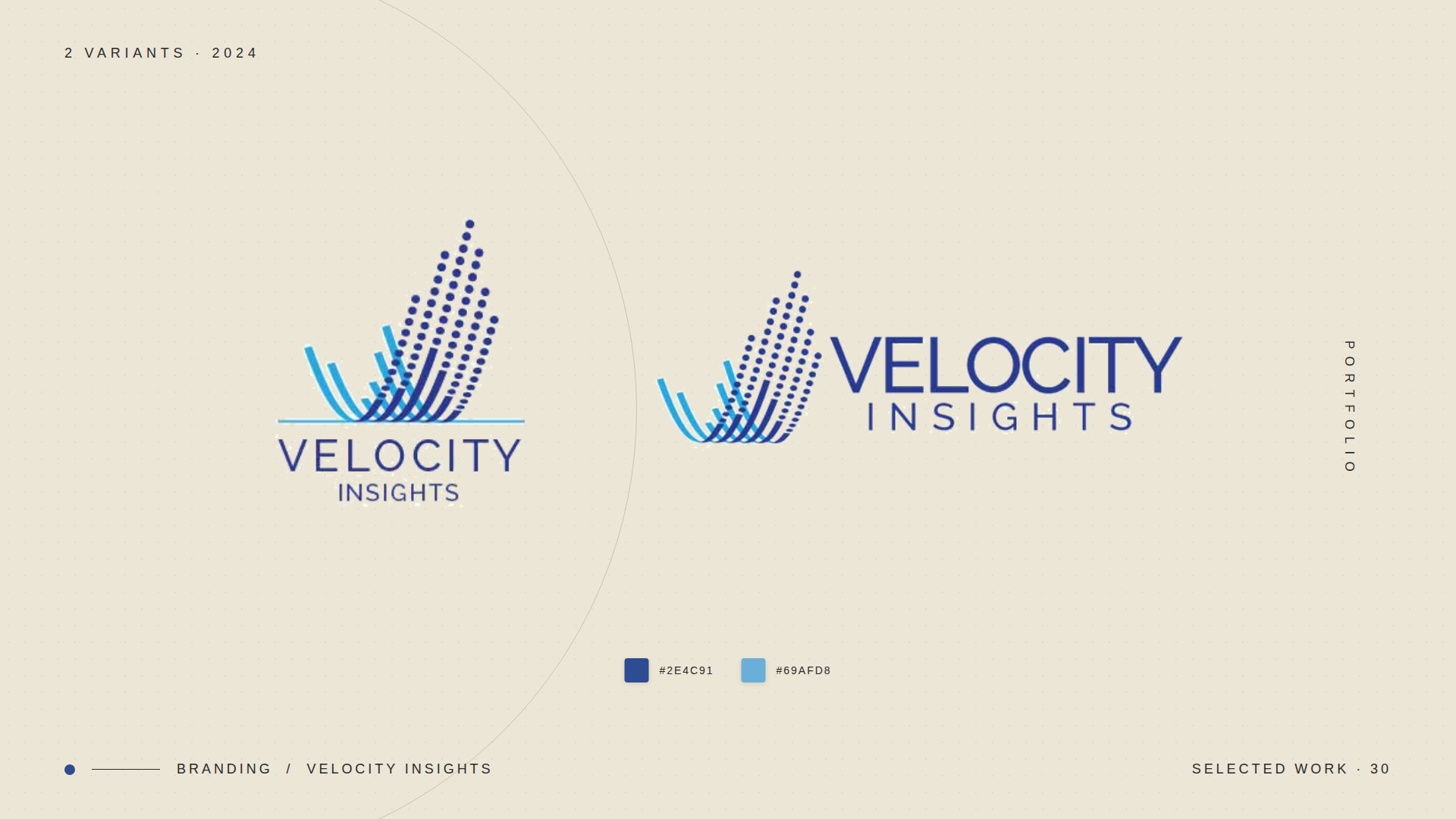 Velocity Insights — logo variants